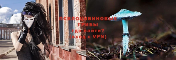 бошки Алексин
