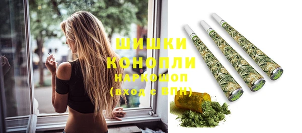 бошки Алексин